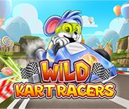 Wild Kart Racers